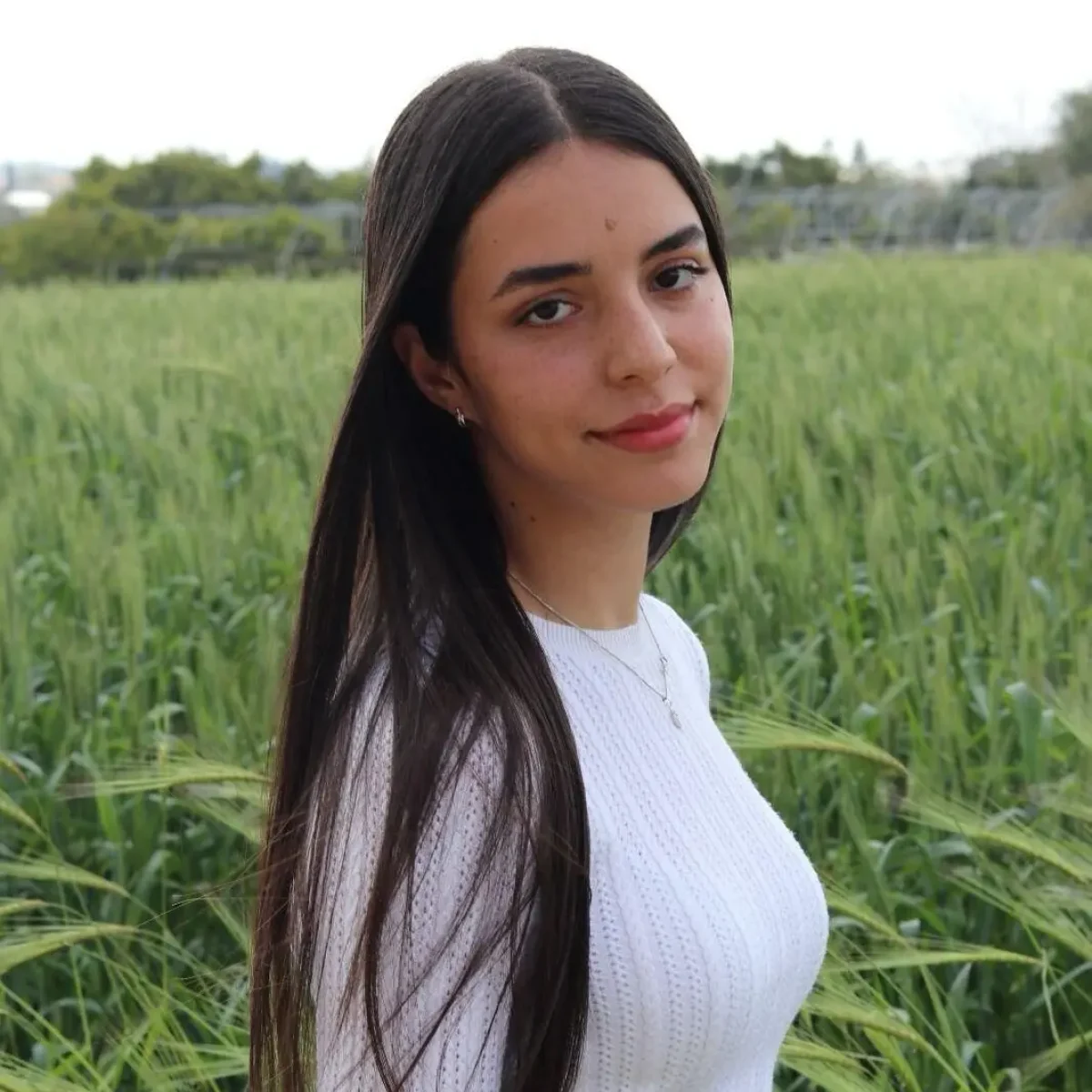 aviv hajaj (1)