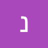נועם לוי